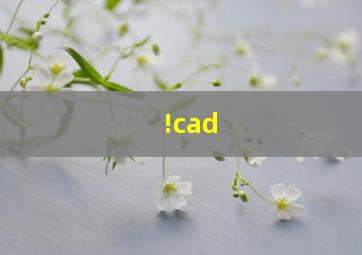 !cad