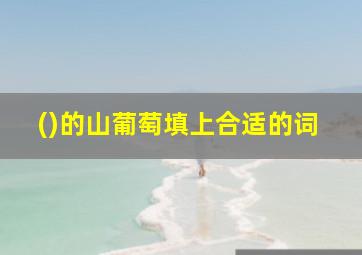 ()的山葡萄填上合适的词