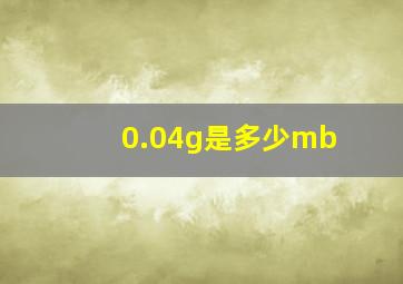 0.04g是多少mb