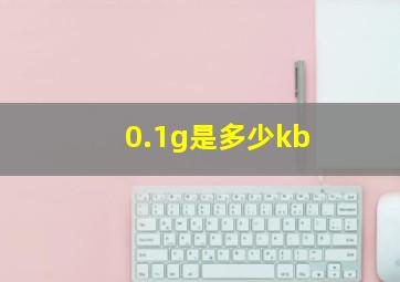 0.1g是多少kb