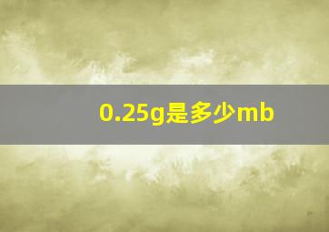 0.25g是多少mb