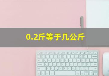 0.2斤等于几公斤