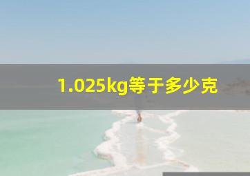 1.025kg等于多少克