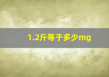 1.2斤等于多少mg