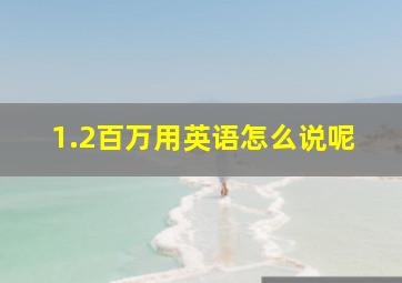 1.2百万用英语怎么说呢