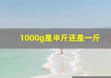 1000g是半斤还是一斤