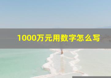 1000万元用数字怎么写