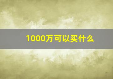 1000万可以买什么