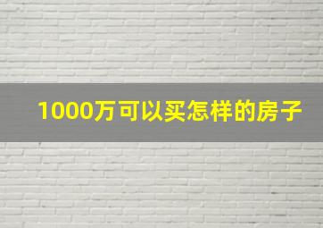 1000万可以买怎样的房子