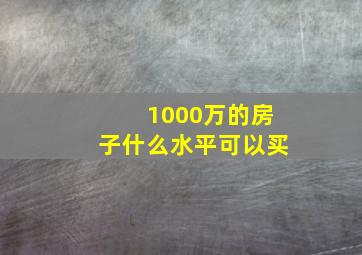 1000万的房子什么水平可以买