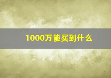 1000万能买到什么