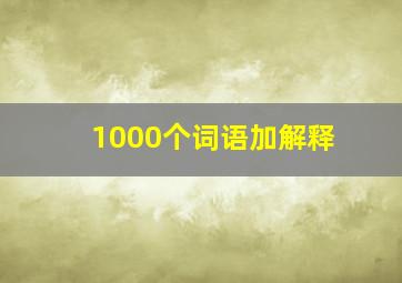 1000个词语加解释