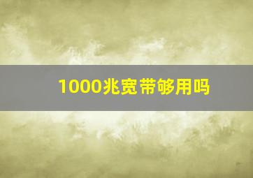 1000兆宽带够用吗