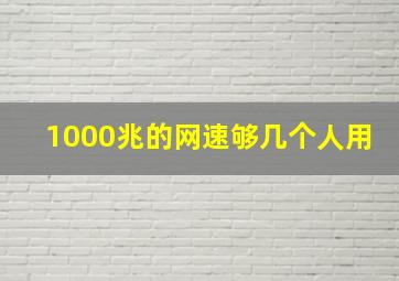 1000兆的网速够几个人用