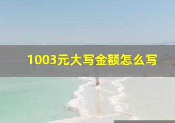 1003元大写金额怎么写