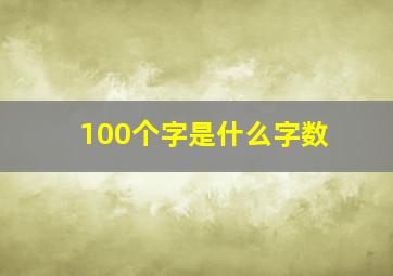 100个字是什么字数