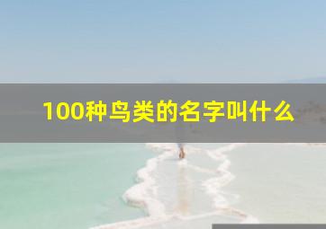 100种鸟类的名字叫什么