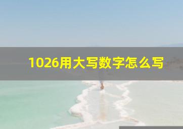 1026用大写数字怎么写