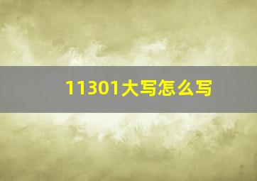 11301大写怎么写