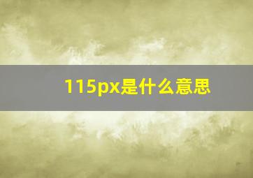 115px是什么意思