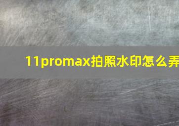 11promax拍照水印怎么弄