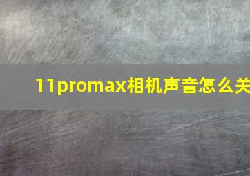 11promax相机声音怎么关