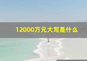 12000万元大写是什么