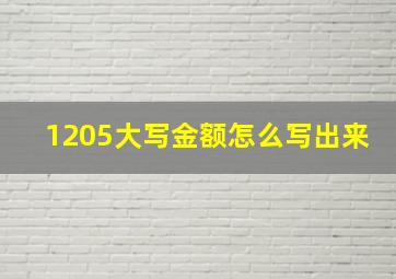 1205大写金额怎么写出来