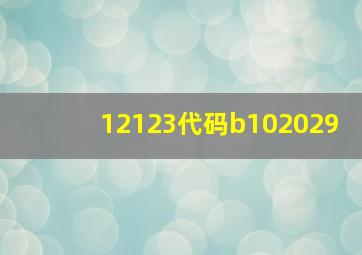 12123代码b102029