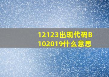 12123出现代码B102019什么意思