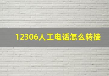 12306人工电话怎么转接