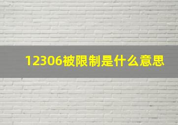 12306被限制是什么意思