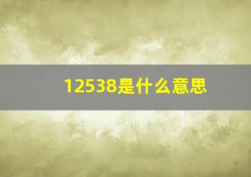 12538是什么意思