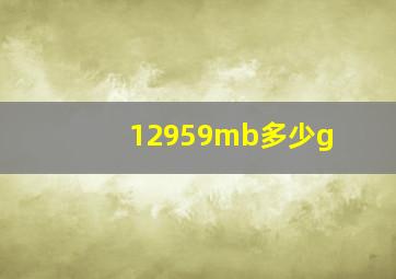 12959mb多少g