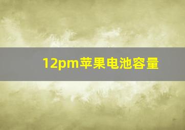 12pm苹果电池容量