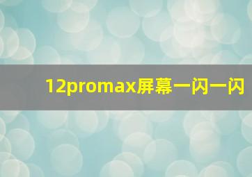 12promax屏幕一闪一闪