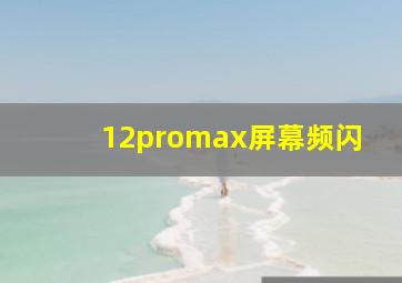 12promax屏幕频闪