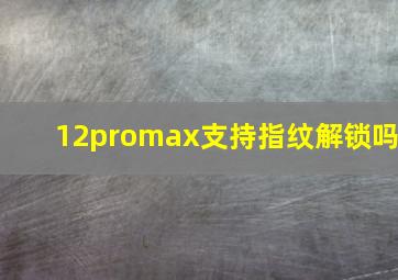 12promax支持指纹解锁吗