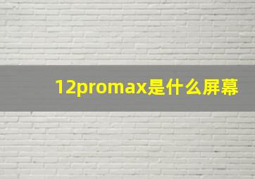 12promax是什么屏幕