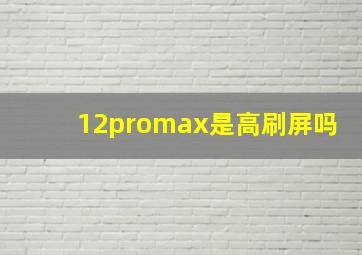 12promax是高刷屏吗