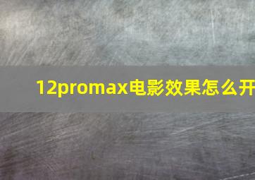 12promax电影效果怎么开