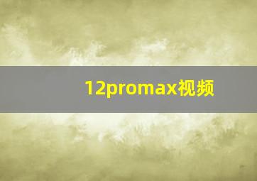 12promax视频