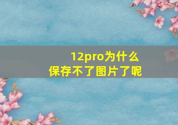 12pro为什么保存不了图片了呢