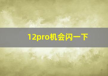 12pro机会闪一下