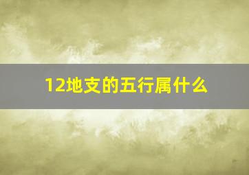 12地支的五行属什么