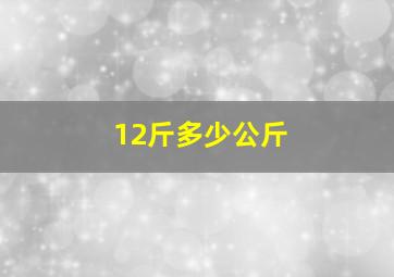 12斤多少公斤