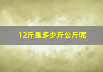 12斤是多少斤公斤呢