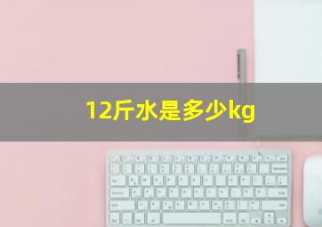 12斤水是多少kg