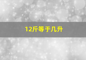 12斤等于几升