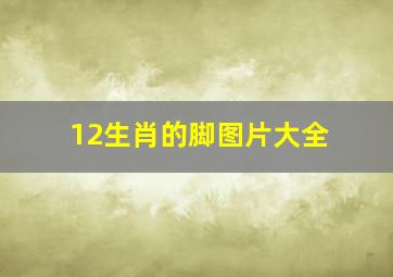 12生肖的脚图片大全